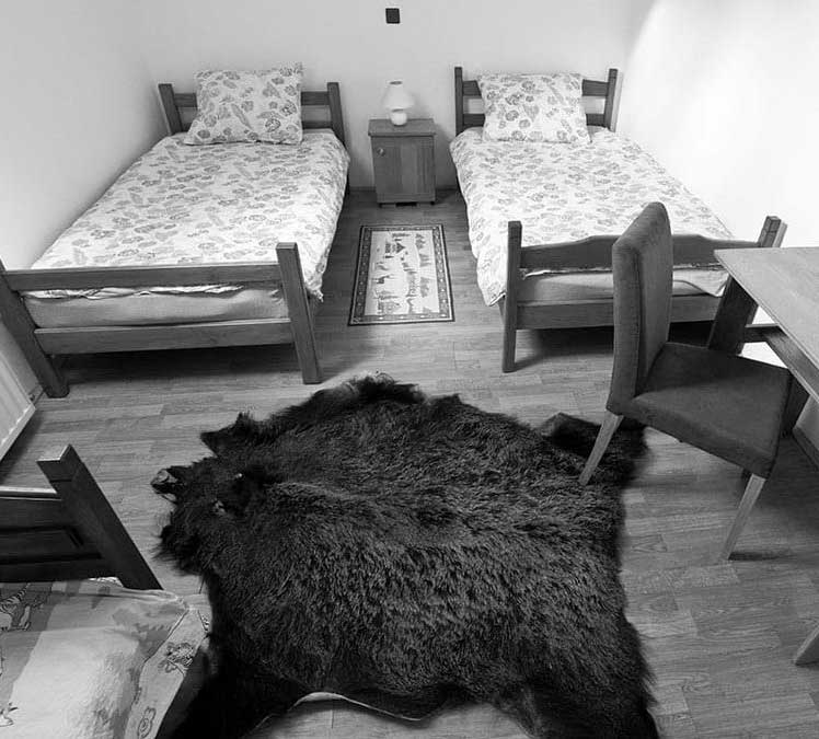 smjestaj_buga_trokrevetna_s