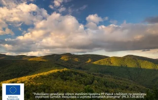 Dobre vijesti brzo se šire!